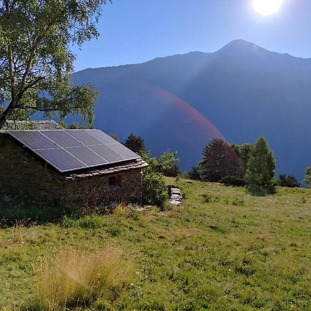 Отель Bordes Pirineu, Costuix Areu Экстерьер фото