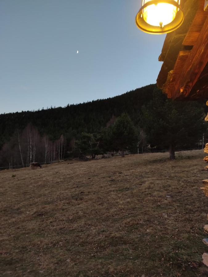 Отель Bordes Pirineu, Costuix Areu Экстерьер фото