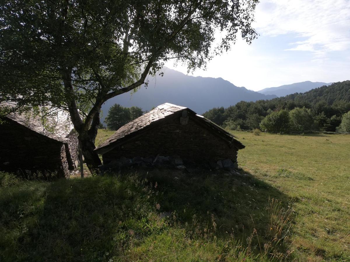 Отель Bordes Pirineu, Costuix Areu Экстерьер фото